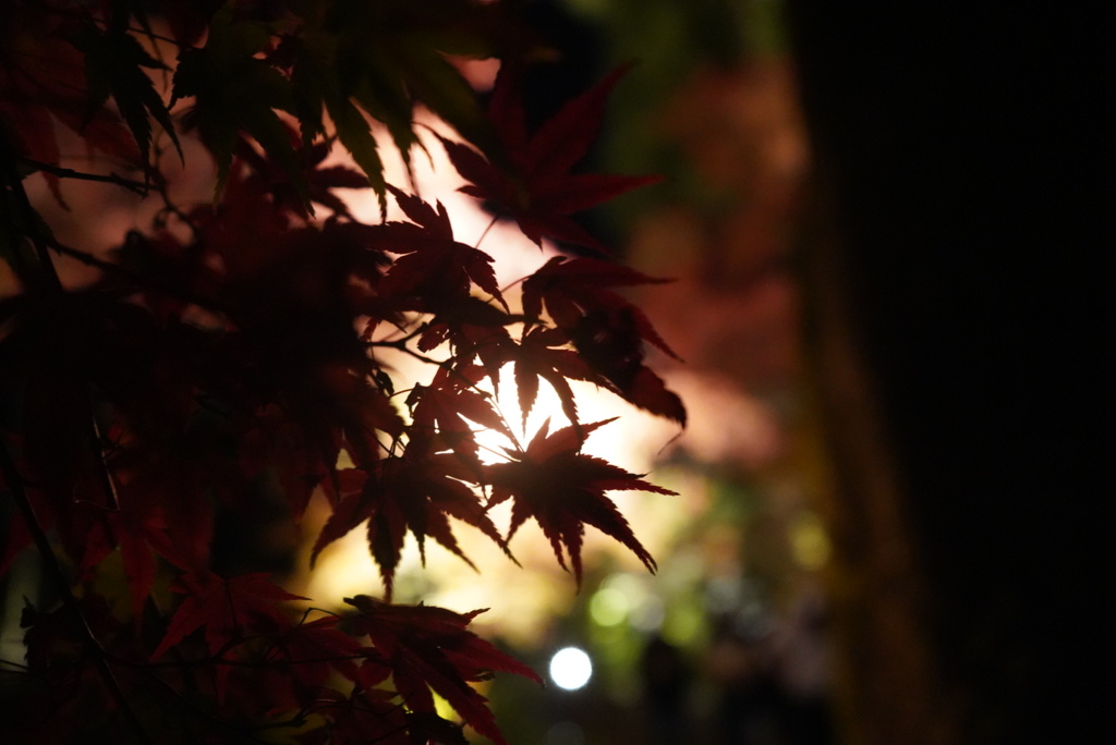 竈門神社