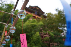 祐徳稲荷神社