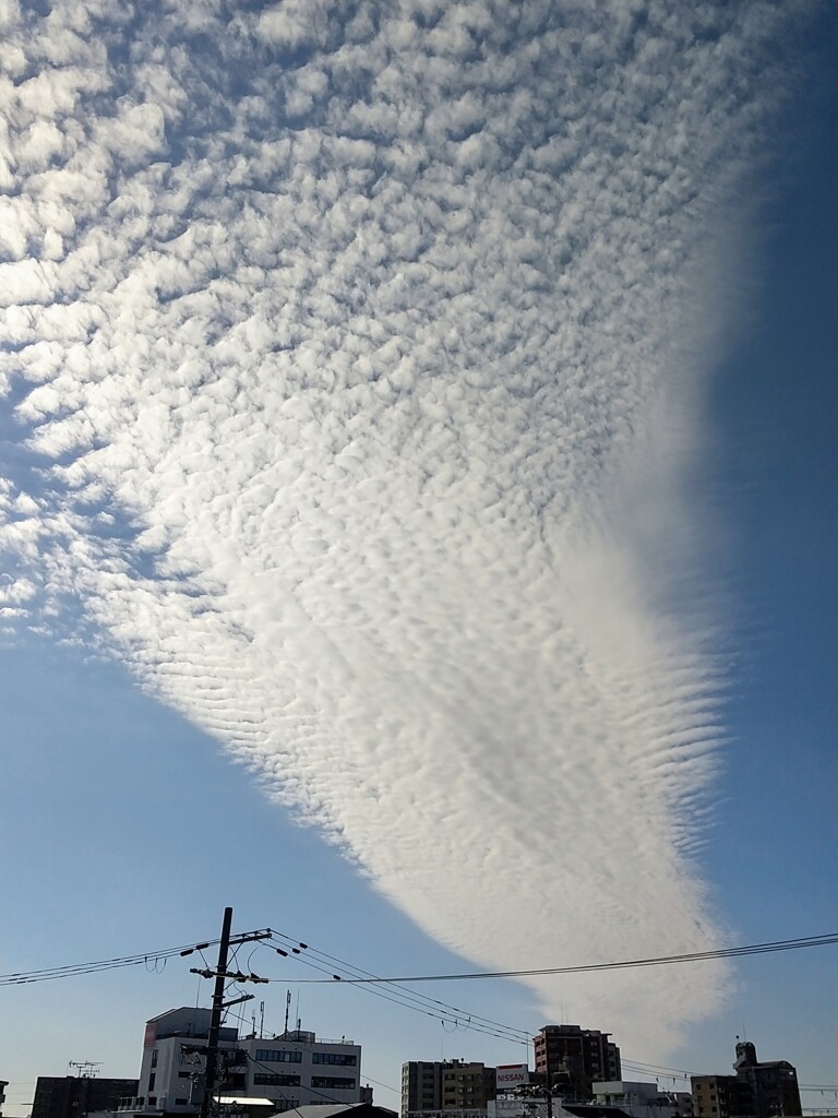 巨大雲