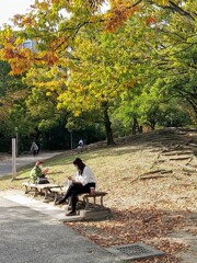 色づき始めた公園