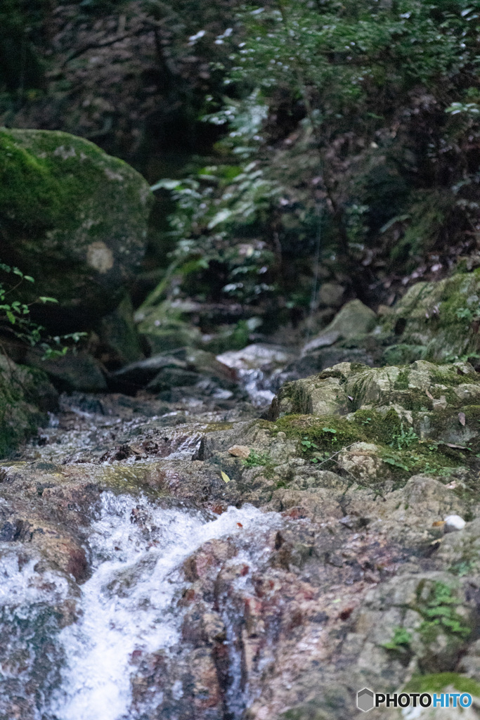 鈍川渓谷