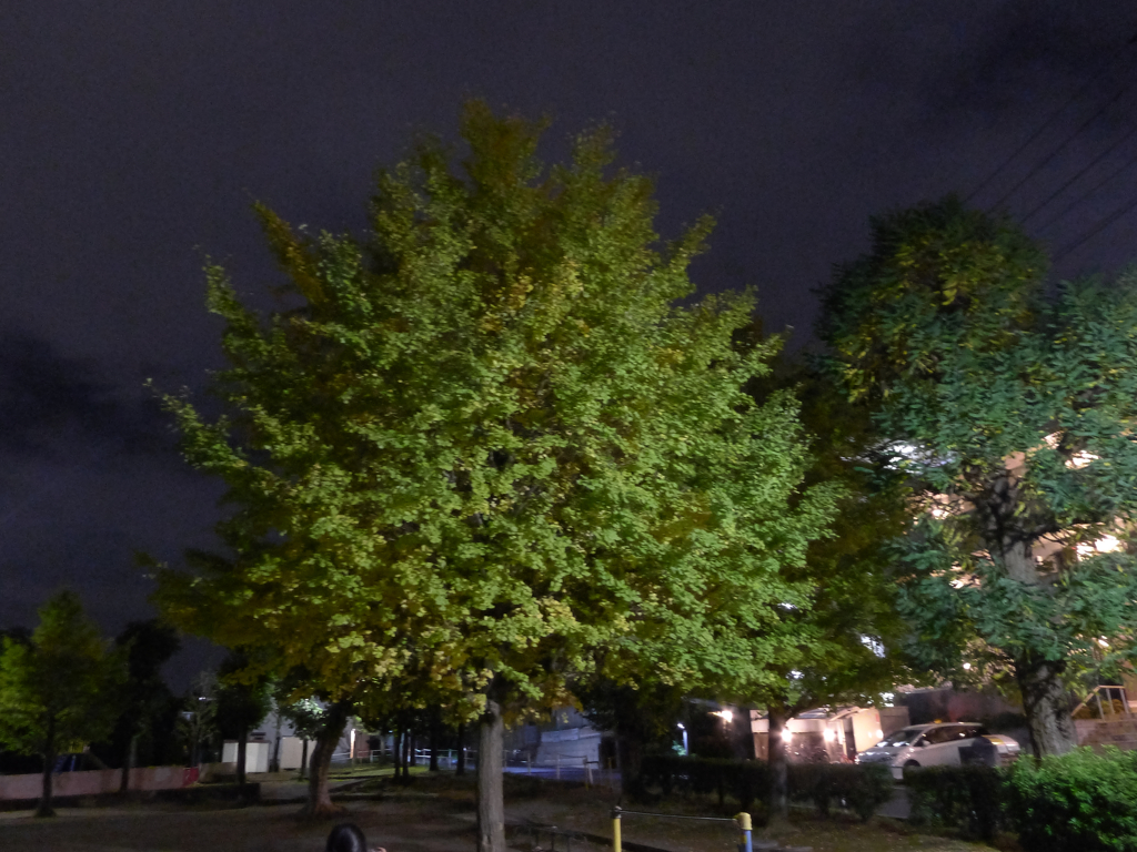 夜公園１