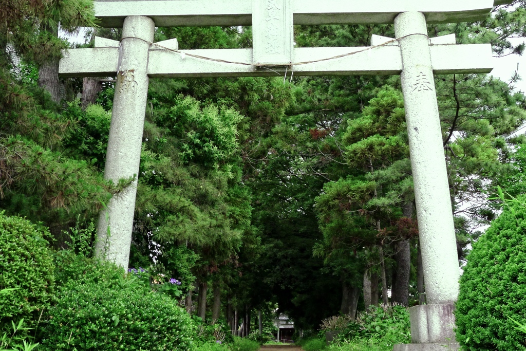 寺 風景