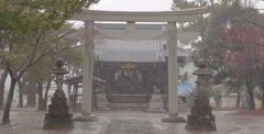寺 雨 風景