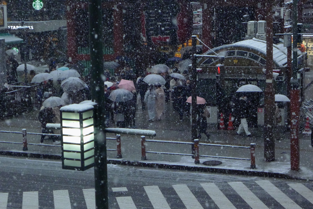 雪 風景