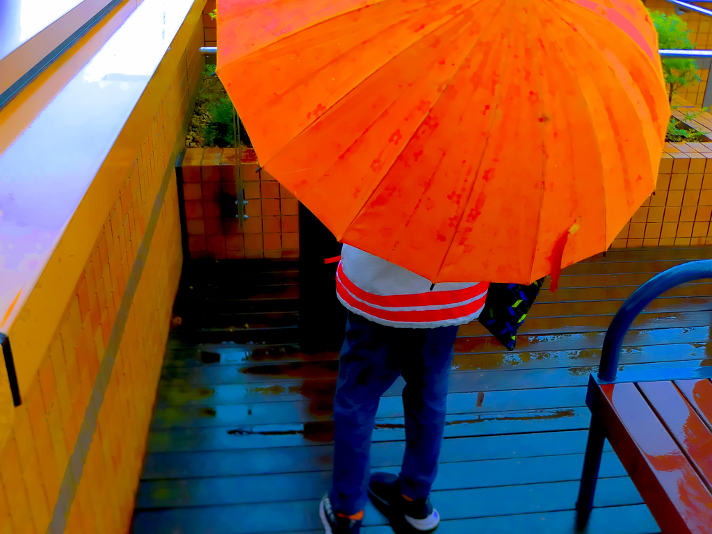 秋雨