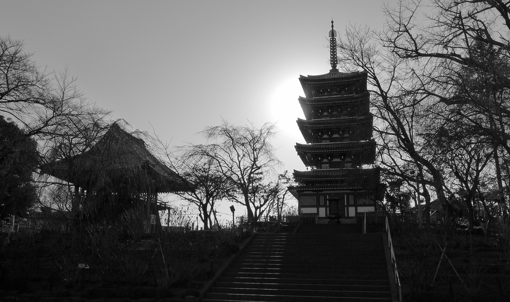 寺 風景