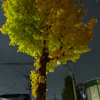 秋の夜２