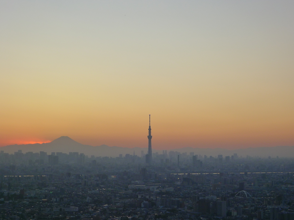 Mt. Fuji ・TOKYO SKYTREE
