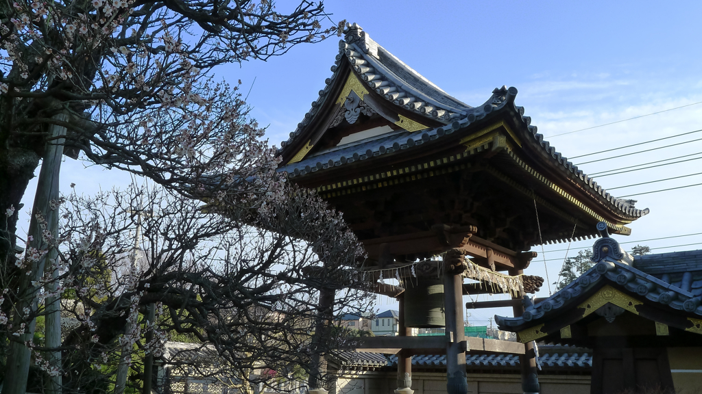 寺 風景