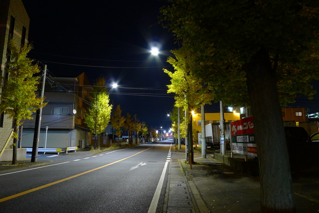秋通り