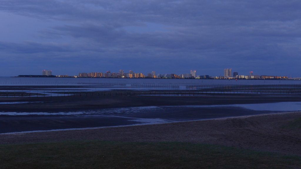 海 砂浜 夜景