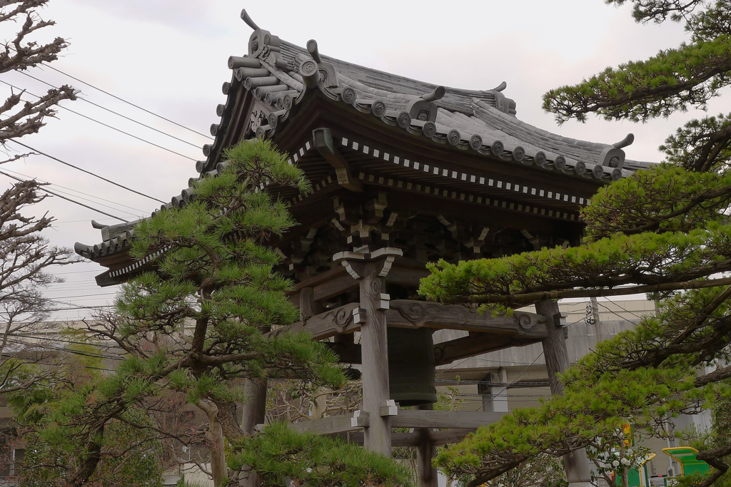 寺 風景