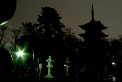 寺 夜景