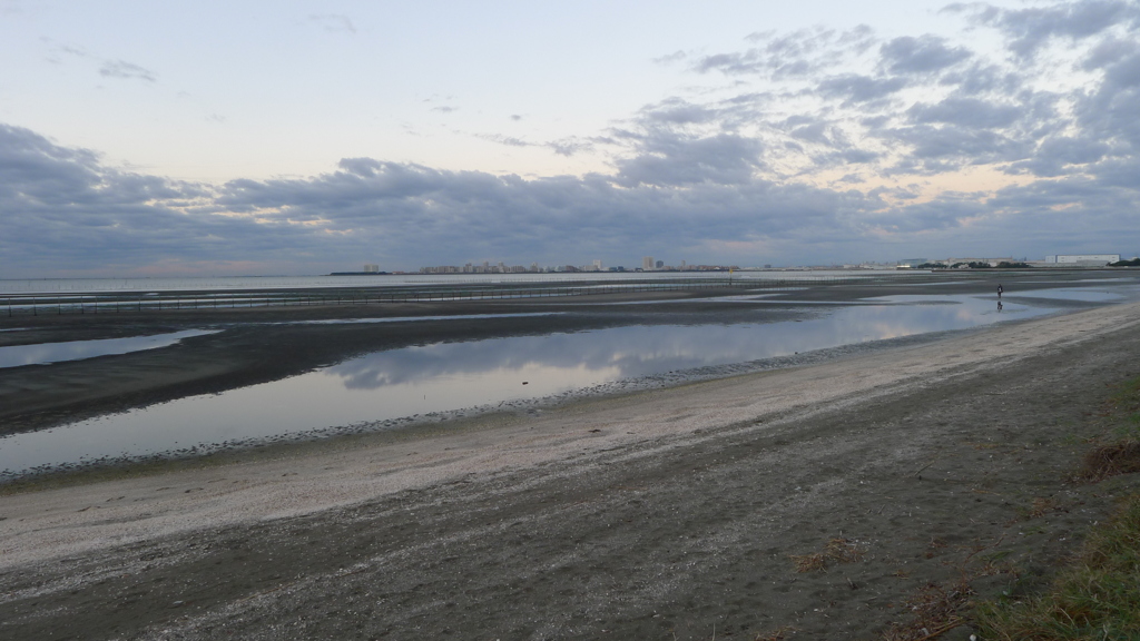 海 砂浜