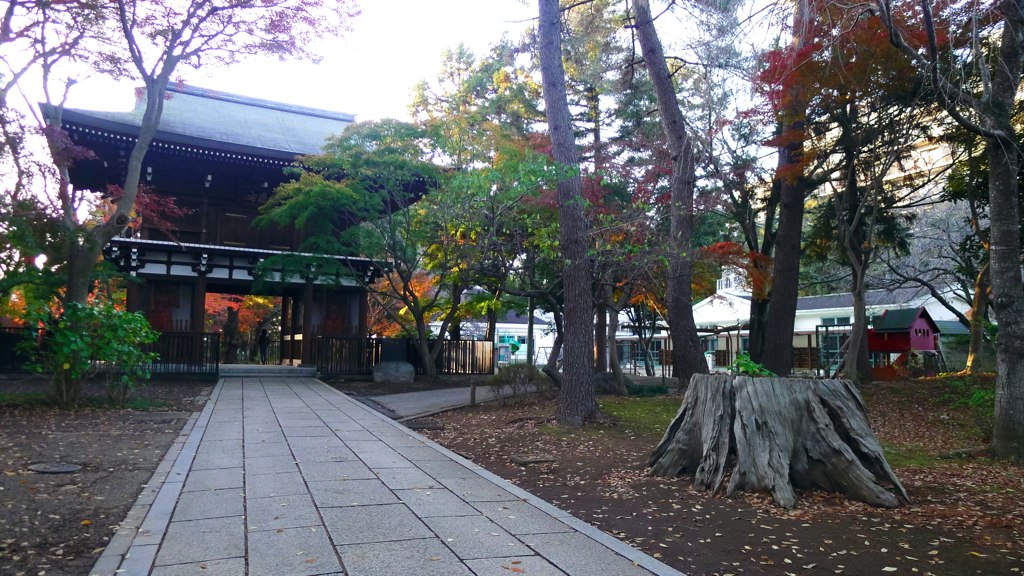 寺 風景