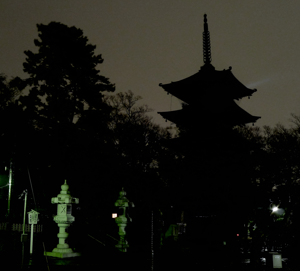 寺 夜景 カット.ver