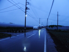 道・夜景・普通な雨の日（LX5）