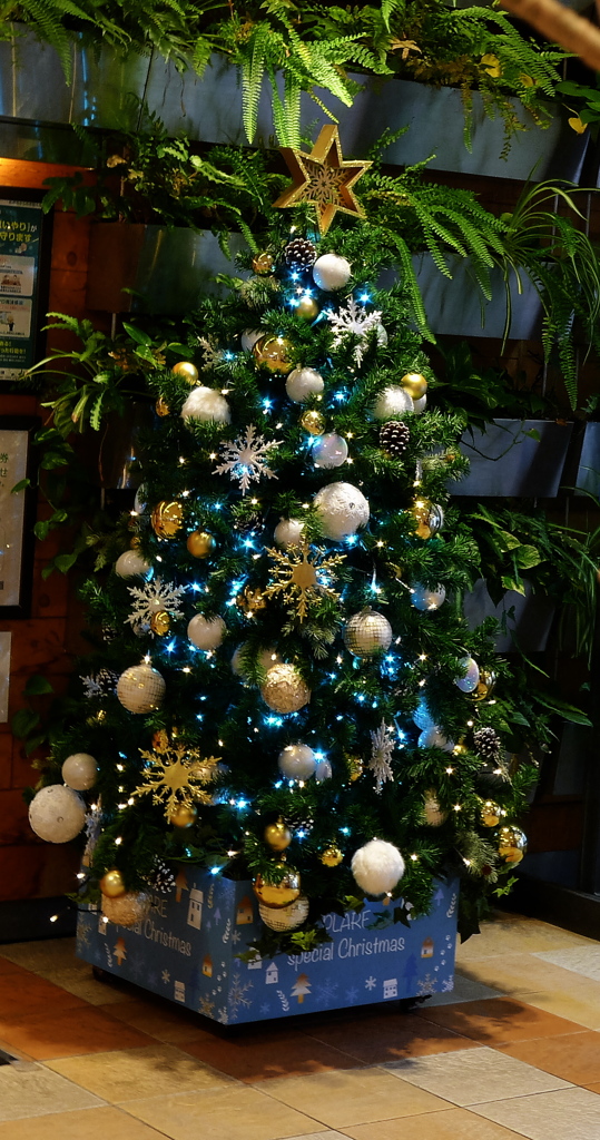 クリスマス christmas tree