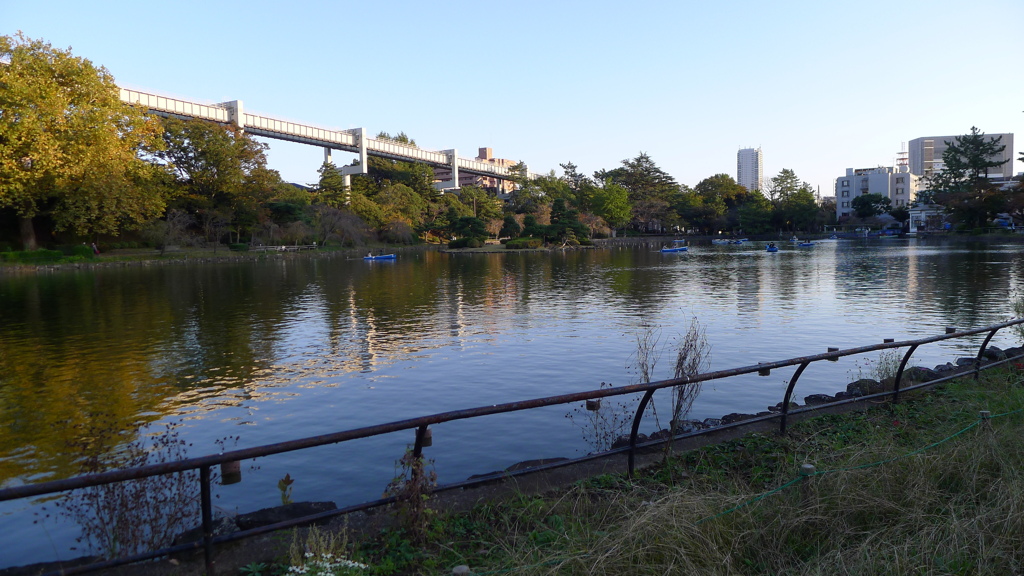 公園 池 ボート