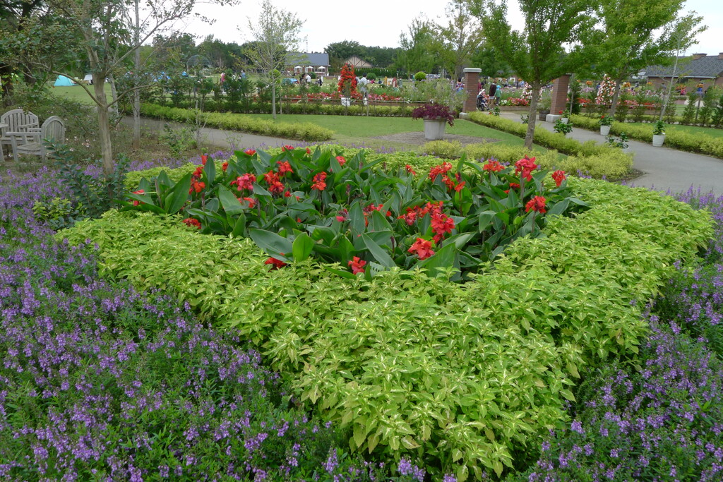 公園 花緑