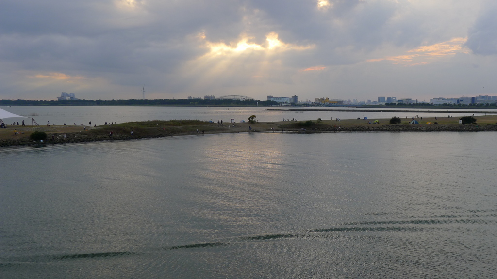 海 砂浜 光