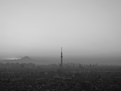 Mt. Fuji ・TOKYO SKYTREE