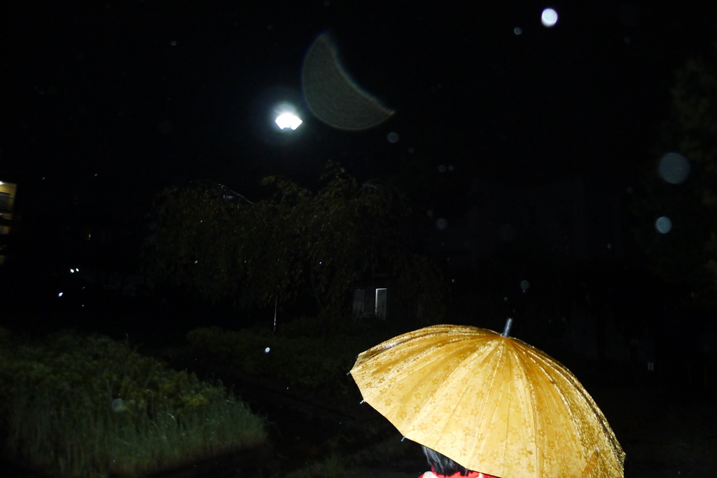雨