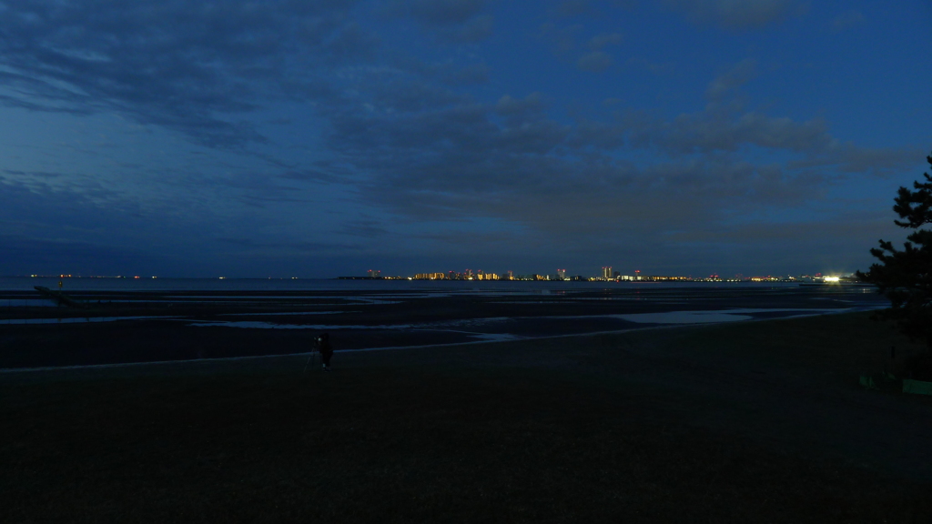 海 砂浜 夜景