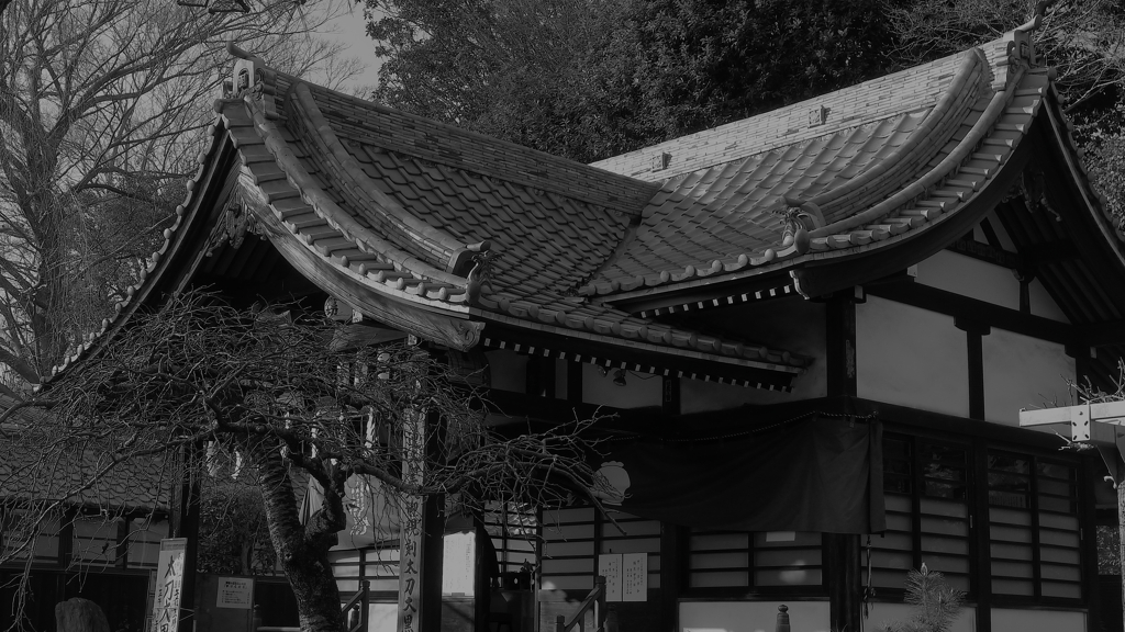 寺 風景