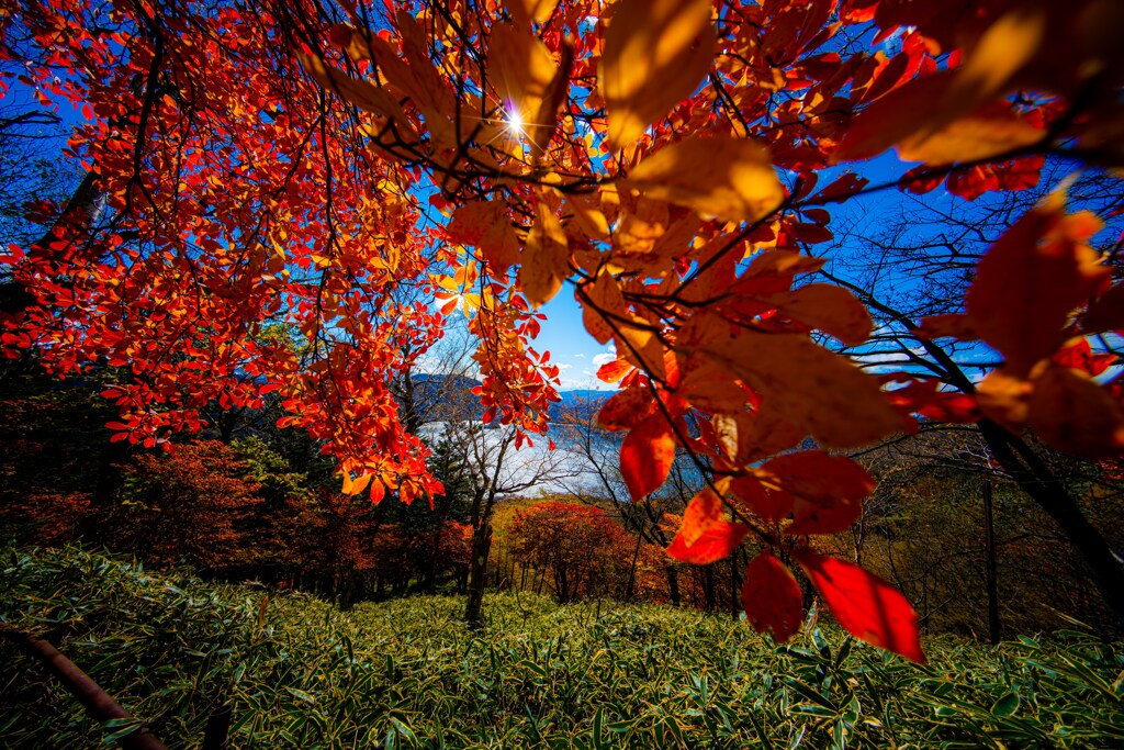 男体山　登山中の紅葉
