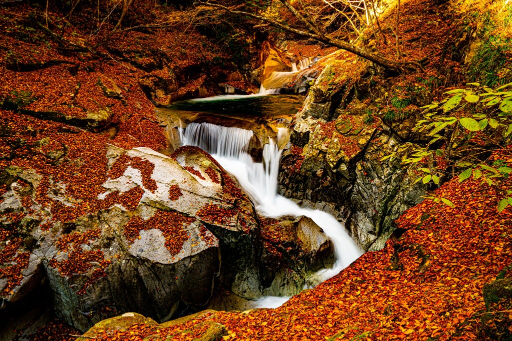 西沢渓谷の秋