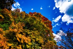 日光二荒山神社　紅葉