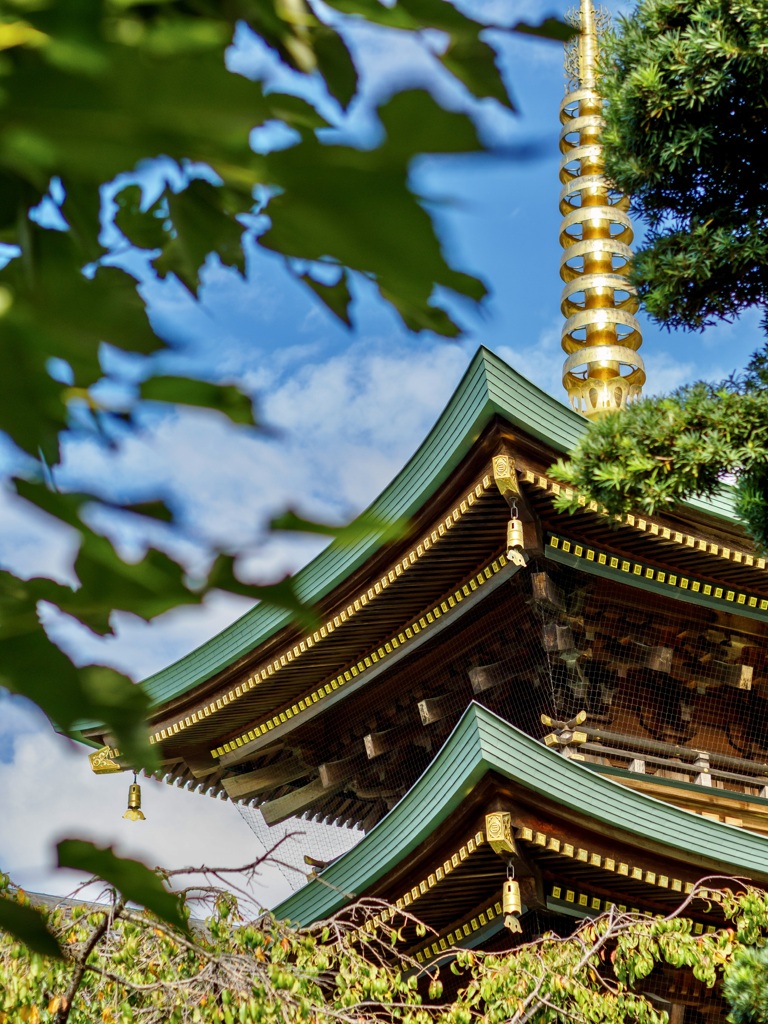 金亀山極楽寺三学院(埼玉県蕨市)