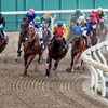競馬