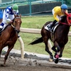 競馬