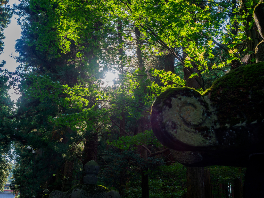 北口本宮冨士浅間神社