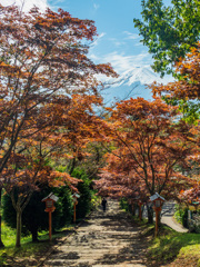 新倉冨士浅間神社