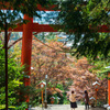 新倉冨士浅間神社