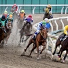 競馬