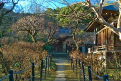 神社・風景