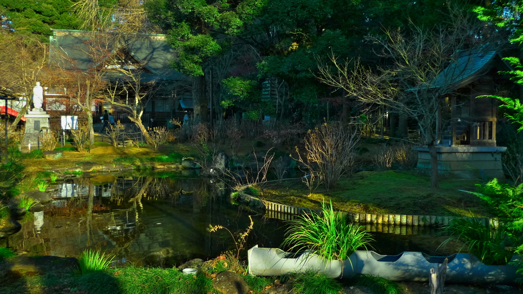 境内・風景