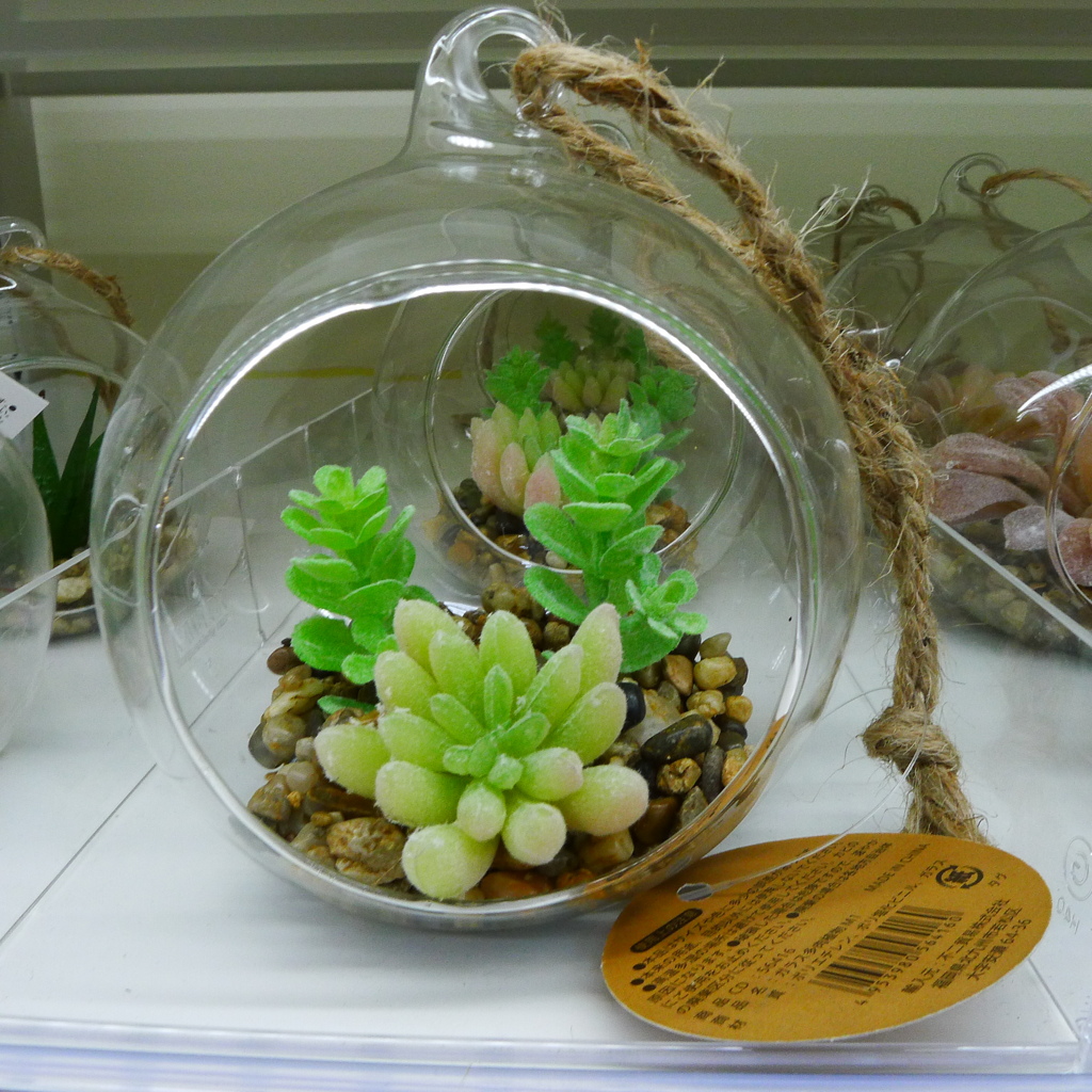 植物飾り(置物）