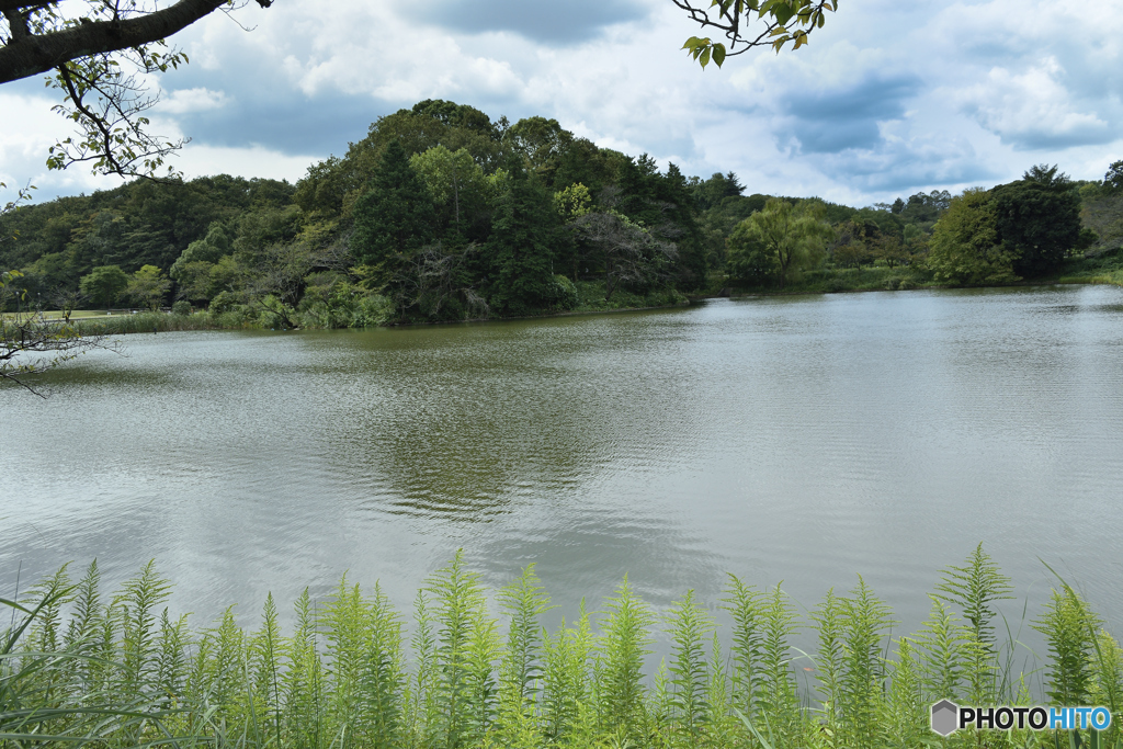 公園へ行こう！！