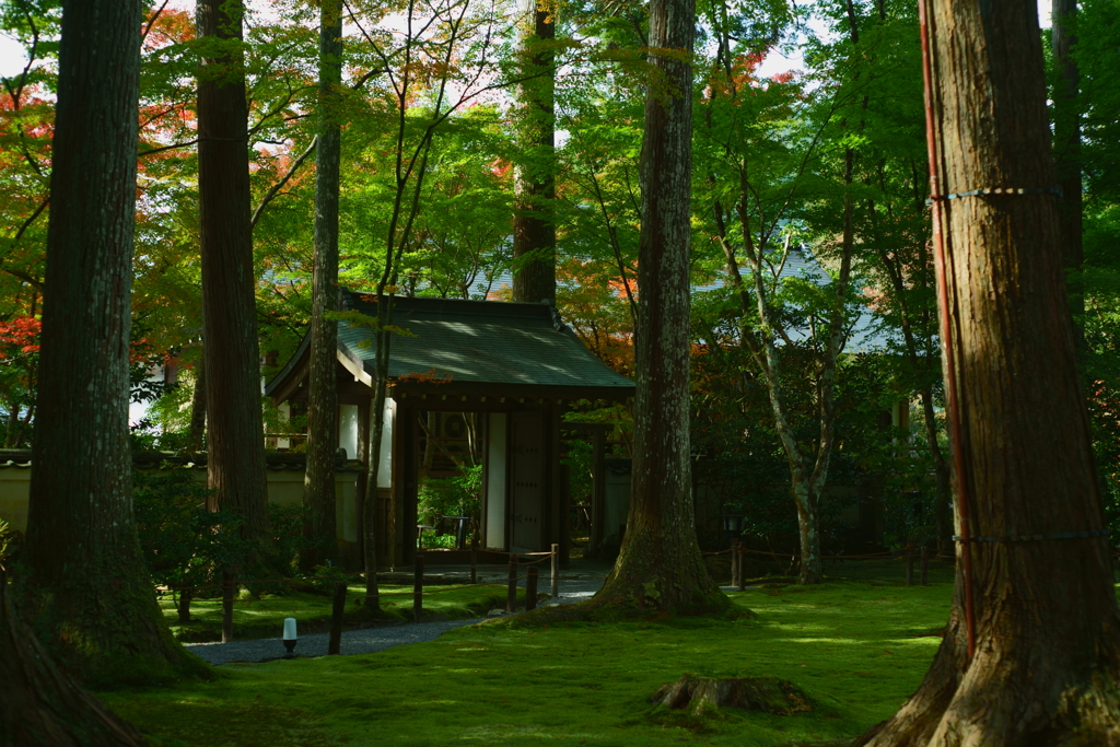 三千院