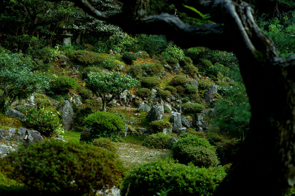 青岸寺庭園