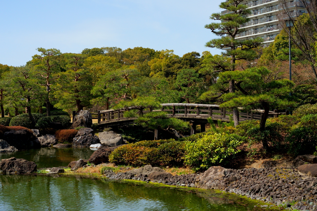 白鳥庭園