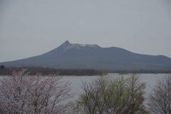 桜と駒ケ岳