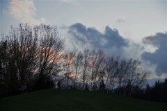 夕方の公園