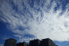 青空